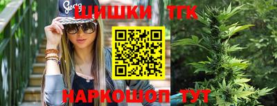 тгк Тула