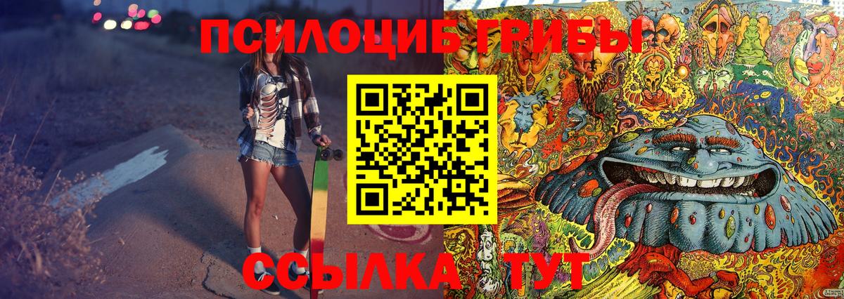 Вольск  Галлюциногенные грибы MAGIC MUSHROOMS  Вход с VPN  Галлюциногенные грибы ЛСД 